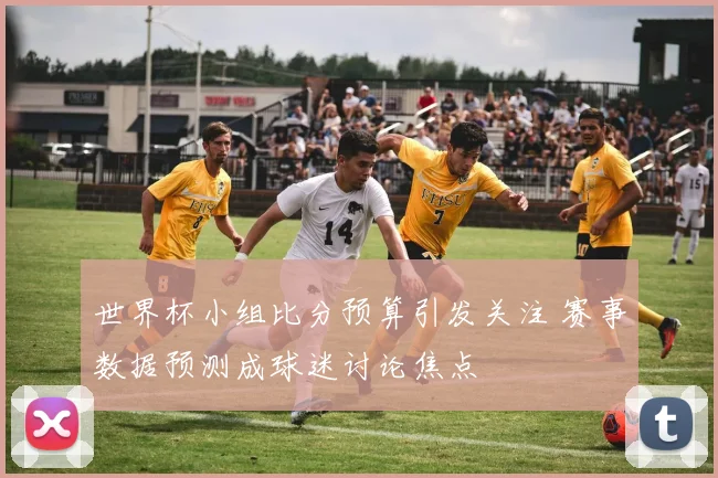 世界杯小组比分预算引发关注 赛事数据预测成球迷讨论焦点