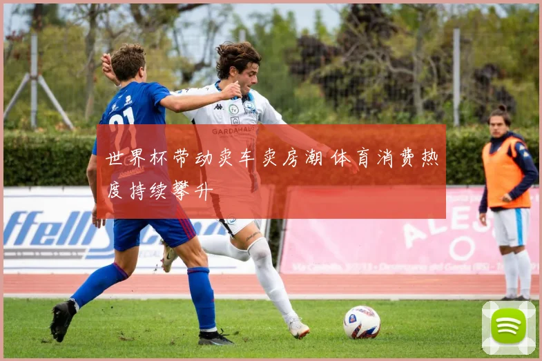 世界杯带动卖车卖房潮 体育消费热度持续攀升