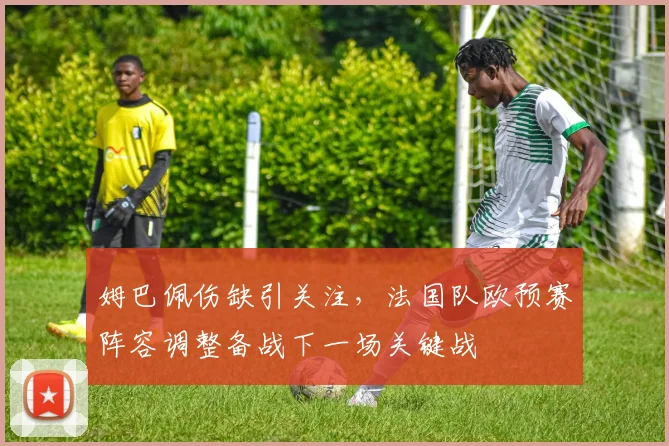 姆巴佩伤缺引关注，法国队欧预赛阵容调整备战下一场关键战