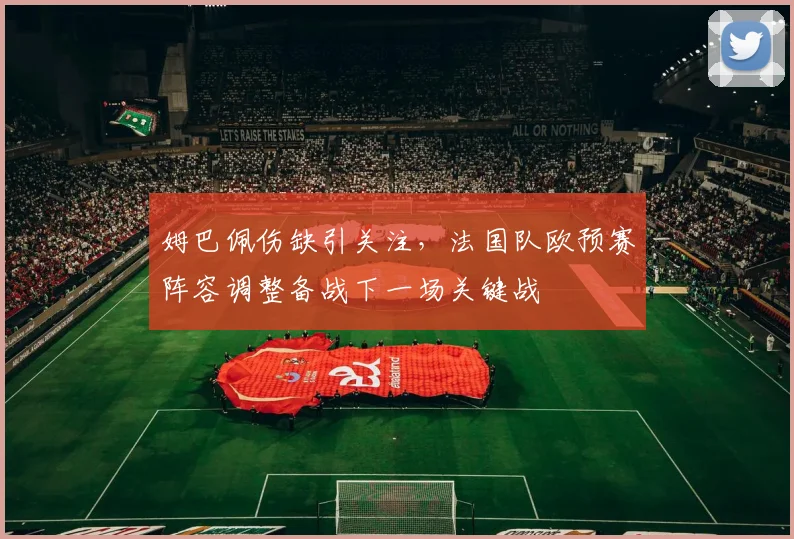 姆巴佩伤缺引关注,法国队欧预赛阵容调整备战下一场关键战