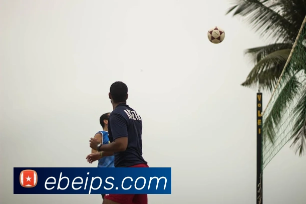 世界杯中国官网平台生态图